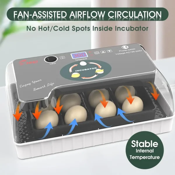 12 Egg Incubator